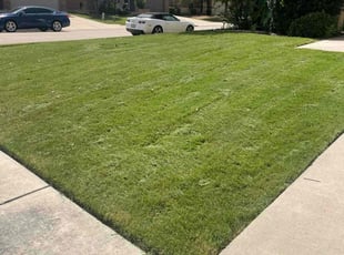 Jennifer D.'s turf maintenance service result