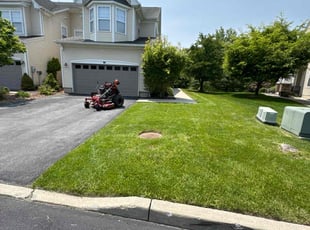 Miss H.'s lawn care services service result