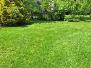 Charles K.'s lawn care services service result