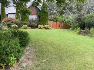 Laura M.'s turf maintenance service result