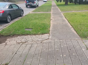 Adraine K.'s lawn service service result