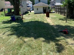 Alvin C.'s lawn maintenance service result