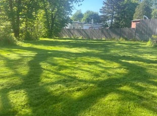 Sarah B.'s lawn care service result
