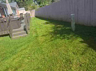 Cammy N.'s turf maintenance service result