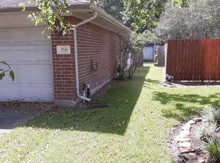 Alyssa M.'s Bush Trimming service result