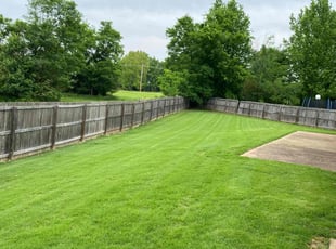 Caroline E.'s grass maintenance service result
