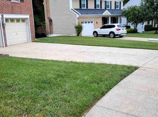 Timothy S.'s grass cutting service result