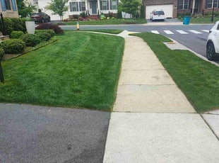Jennifer T.'s lawn care services service result