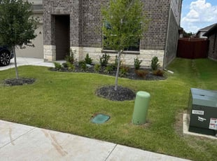 Rob A.'s turf maintenance service result