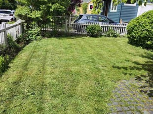 Anthony S.'s turf maintenance service result