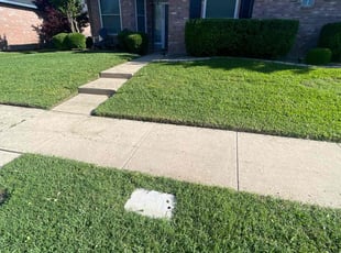 Jennifer W.'s grass maintenance service result
