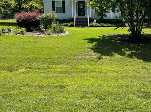 Irma M.'s grass cutting service result