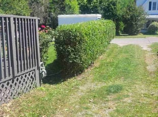 Noel S.'s Bush Trimming service result