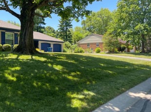 Albert D.'s lawn maintenance service result