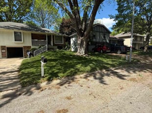 Nola D.'s turf care service result