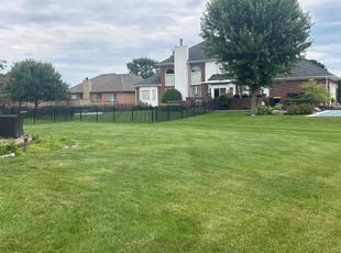 Markus J.'s lawn service service result