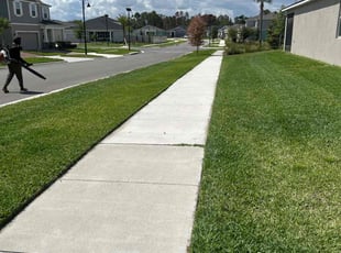 Corey C.'s lawn care service result