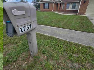 Kathy P.'s lawn care service result