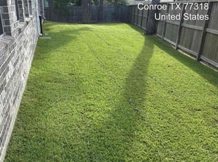 Zerong C.'s turf maintenance service result