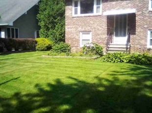 Peter H.'s turf care service result
