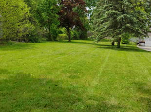 Cal L.'s lawn maintenance service result