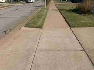 Tamera N.'s lawn maintenance service result