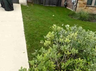 Larry C.'s lawn maintenance service result