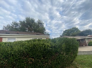 Audrey M.'s Bush Trimming service result