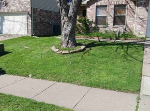 Crystal M.'s lawn service service result