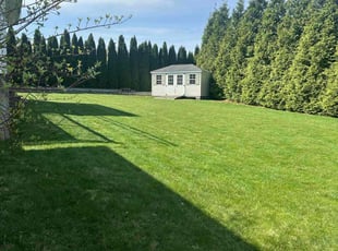 Victoria C.'s lawn care services service result