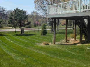 Saurabh B.'s lawn service service result