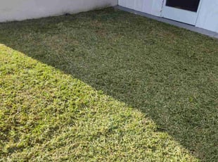 Susan B.'s lawn service service result