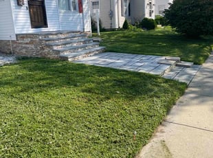 Lauryn H.'s turf care service result
