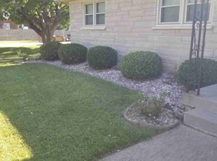 Rayna K.'s Bush Trimming service result