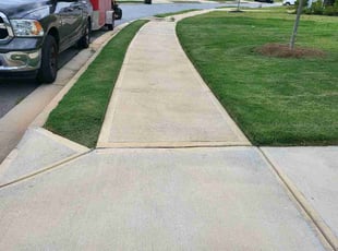 Carolyn K.'s grass cutting service result