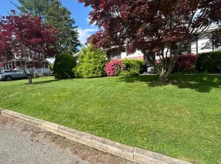 Tupu P.'s lawn maintenance service result