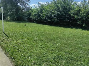 Amy R.'s grass maintenance service result