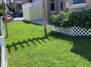 Anthony C.'s grass maintenance service result