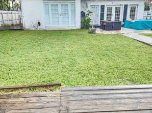 Stefania G.'s turf care service result