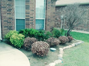 Greg F.'s Flower Bed Weeding service result