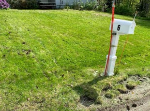 Dion D.'s lawn service service result