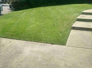 Joy L.'s turf maintenance service result