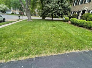 Bridget D.'s turf maintenance service result