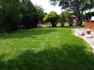 Sussan M.'s landscaping services service result