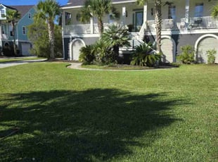 Takashi M.'s grass maintenance service result