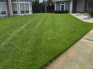 Dave W.'s lawn maintenance service result