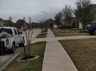 Spencer P.'s Bush Trimming service result