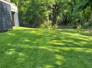 John C.'s lawn maintenance service result