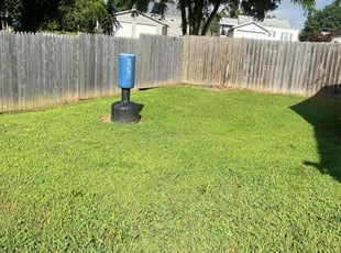 Zach P.'s turf care service result