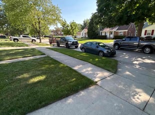 Mc P.'s lawn care services service result